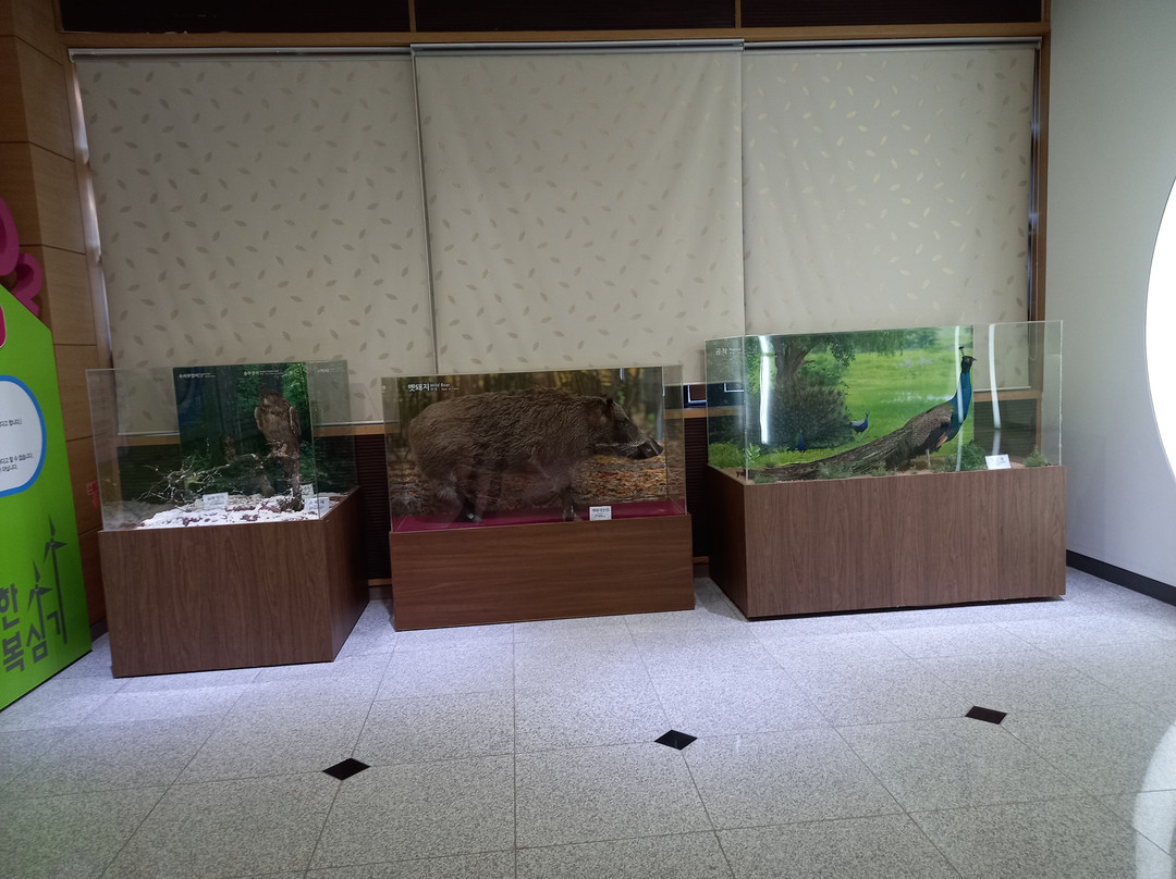 Mungyeong Ecological Museum-闻庆市必去景点