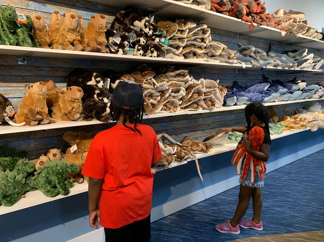 Woodbridge Aquarium & Wildlife景点图片