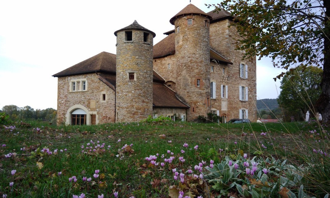 Musée des Minéraux Mineralogica景点图片
