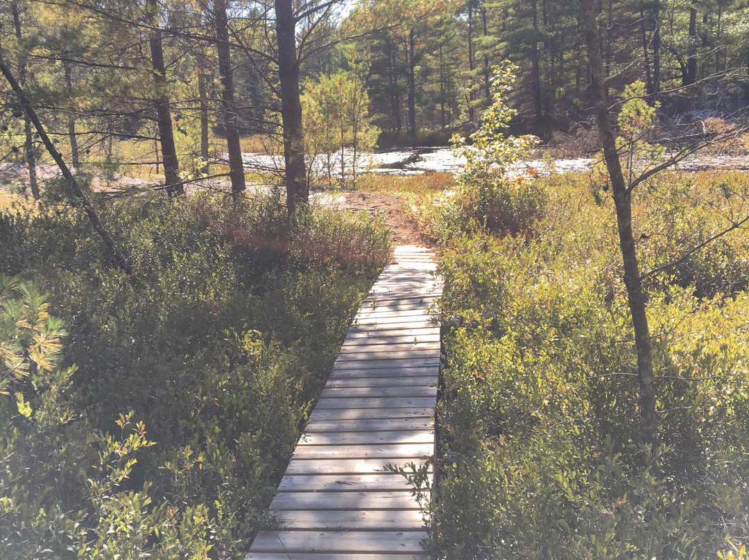 Georgian Nordic Outdoor Activity Centre景点图片