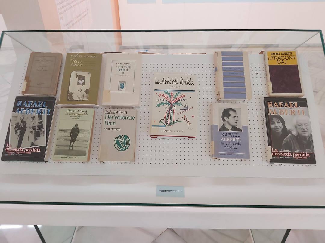 Museo Fundacion Rafael Alberti-圣玛丽亚港必去景点