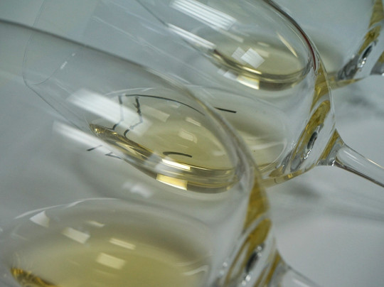 Bodegas Monte Odina, SLU-Selgua必去景点