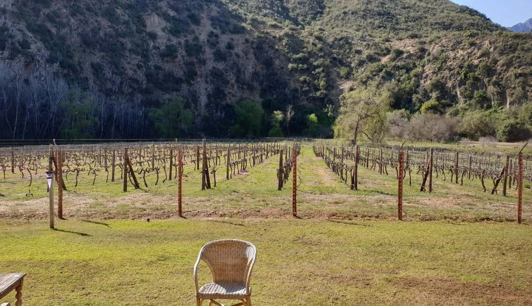 Peter Bayly Wines-Calitzdorp必去景点