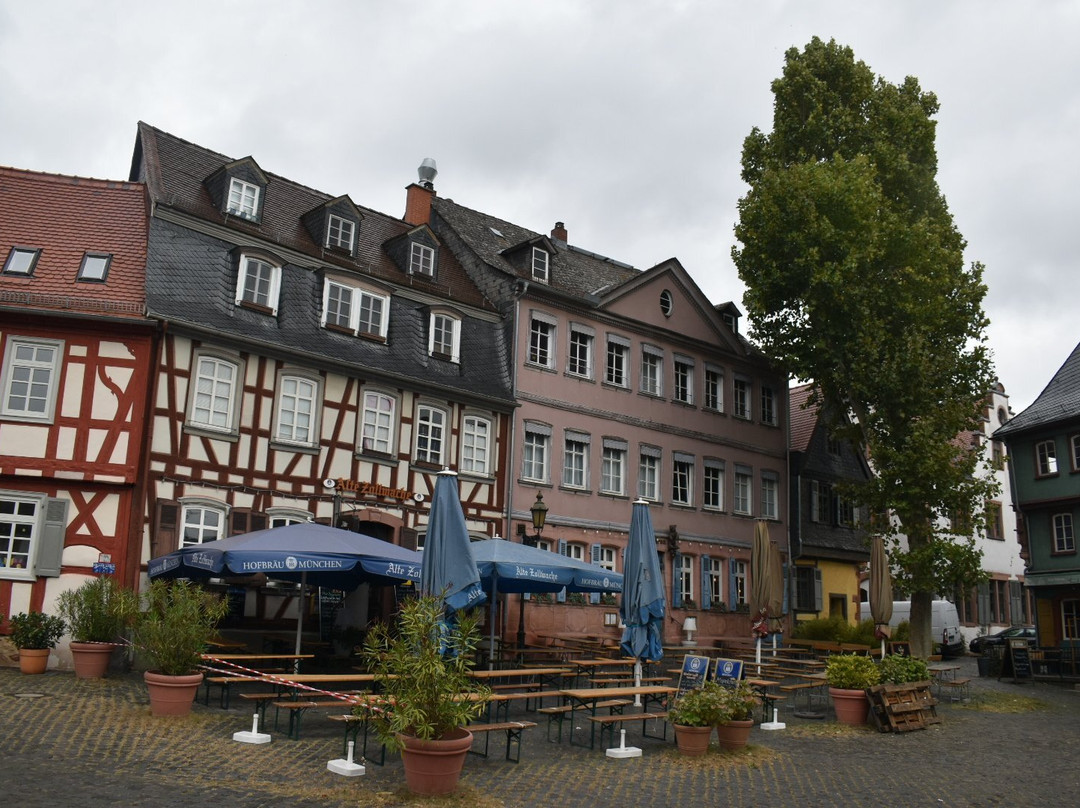 StadtSafari Segway Tours Heidelberg景点图片
