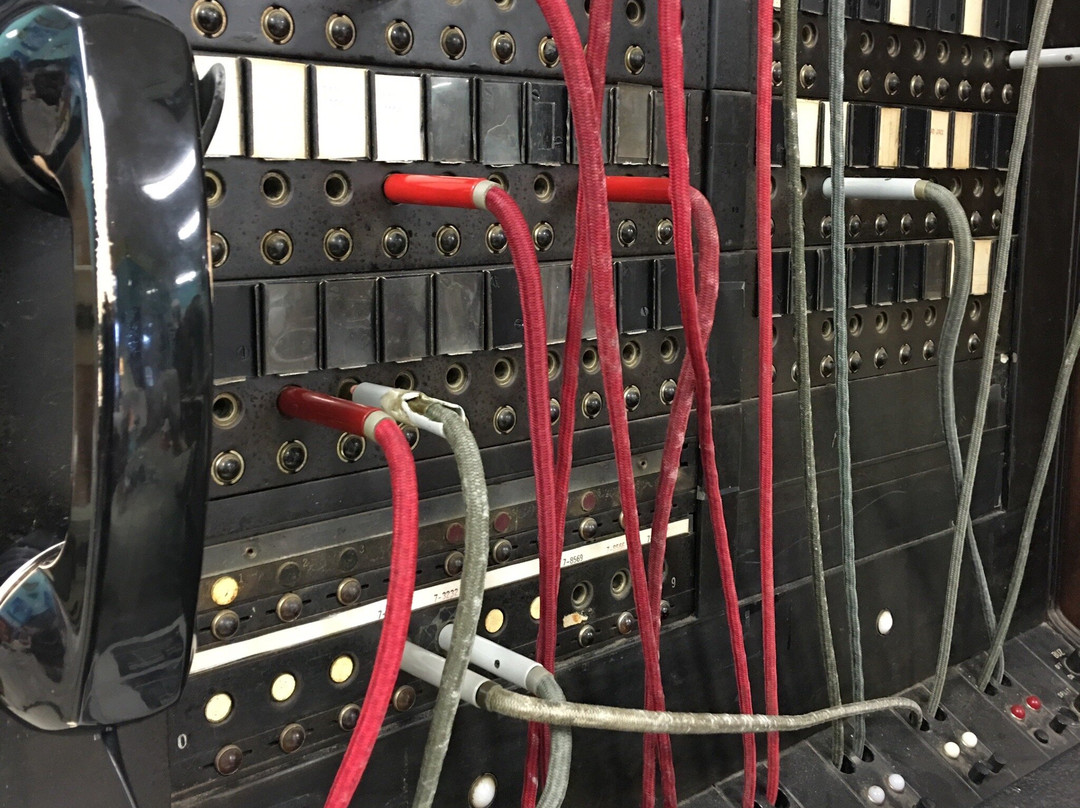 The Paisley Whale-Kingston必去景点