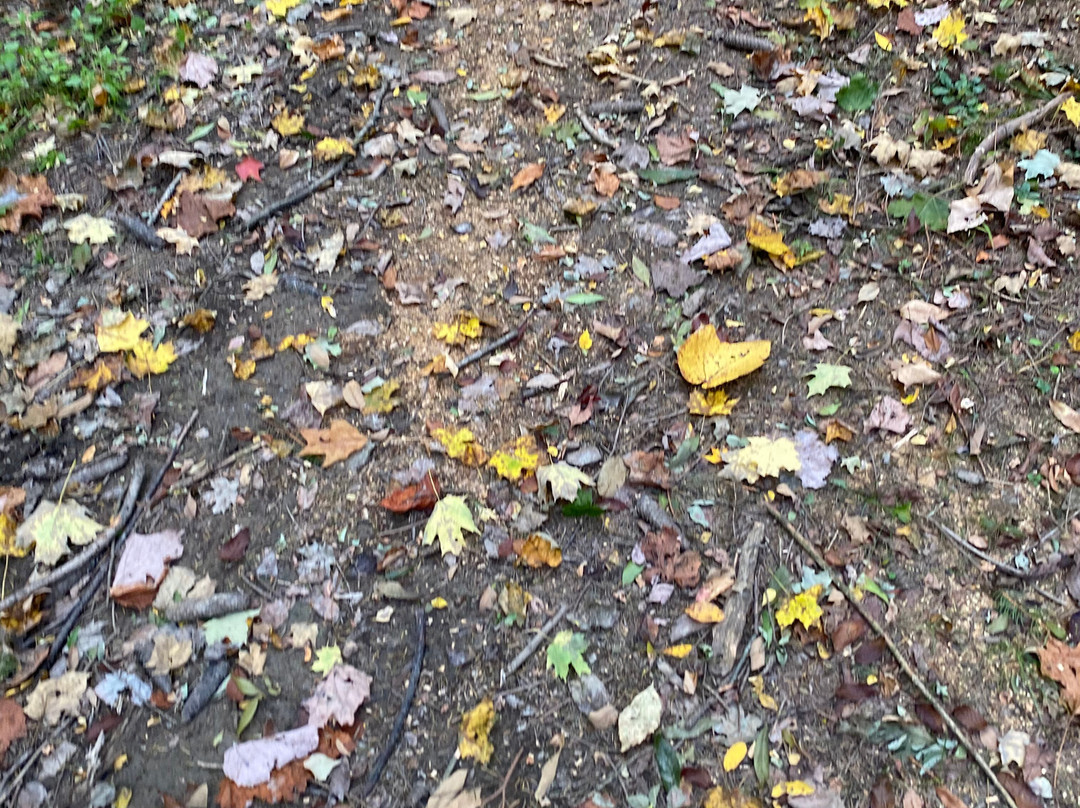 Swine Creek Reservation-Middlefield必去景点