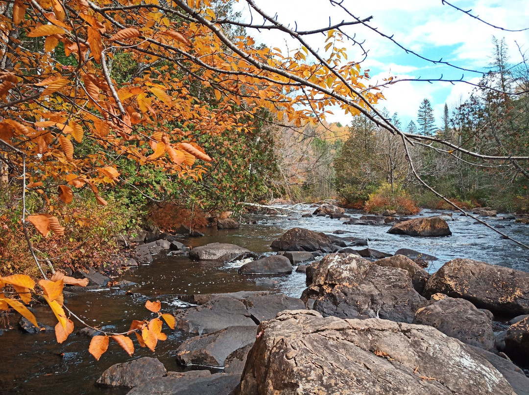 Parc de la Rivière Doncaster-Sainte-Adele必去景点