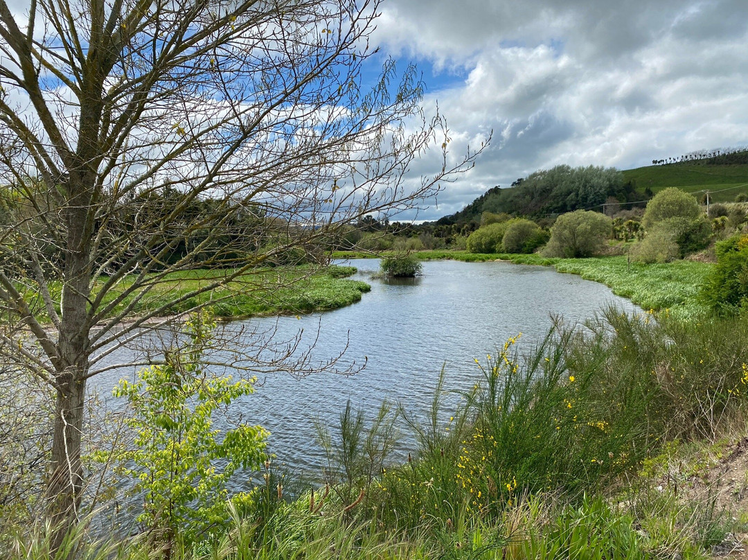 Waikato River Trails-普塔鲁鲁必去景点