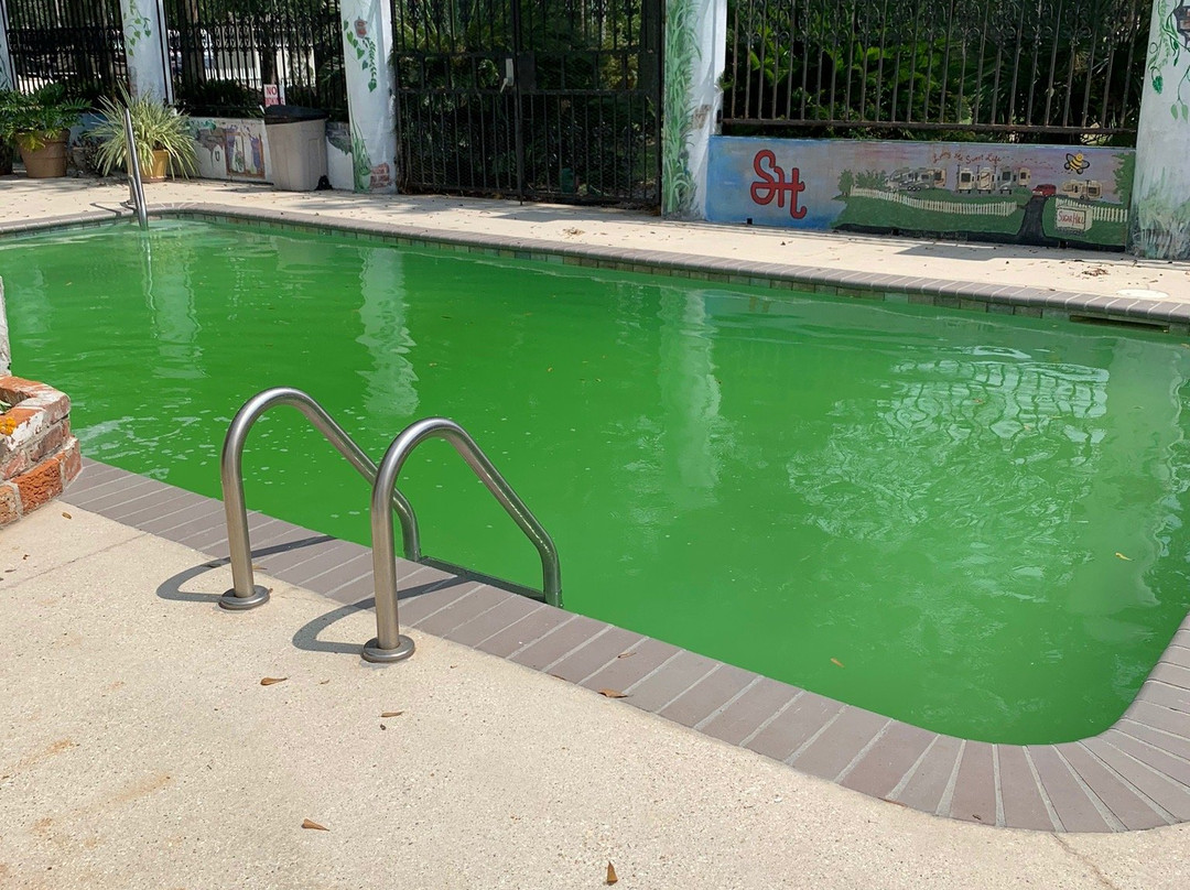 Poche Plantation主图