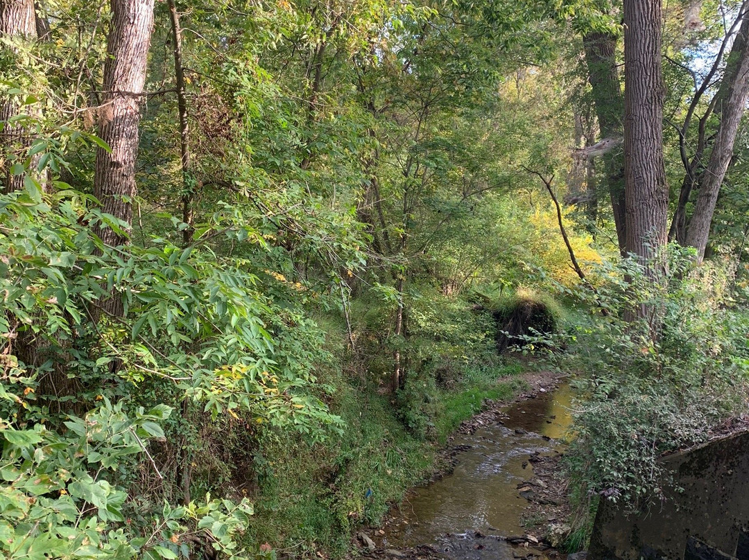 Heritage Rail Trail County Park景点图片