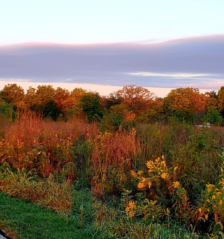 Four Rivers Environmental Education Center景点图片