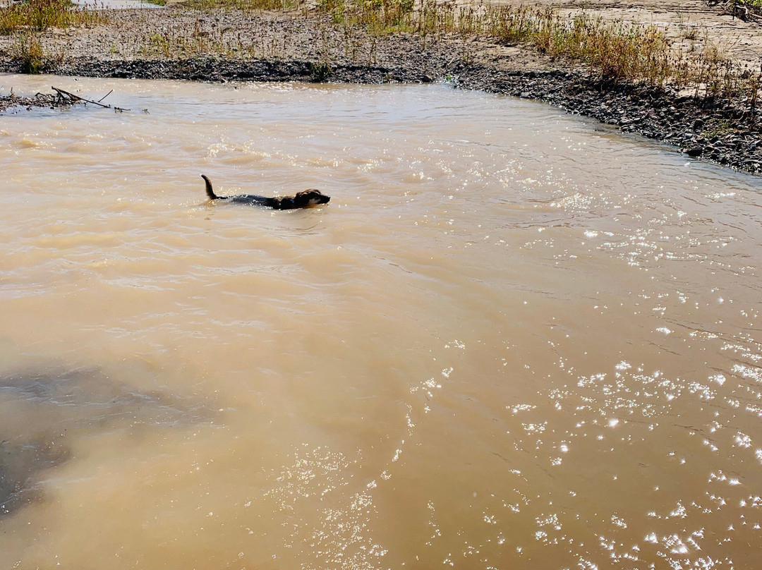 Acacia Riding Adventures-San Acacia必去景点