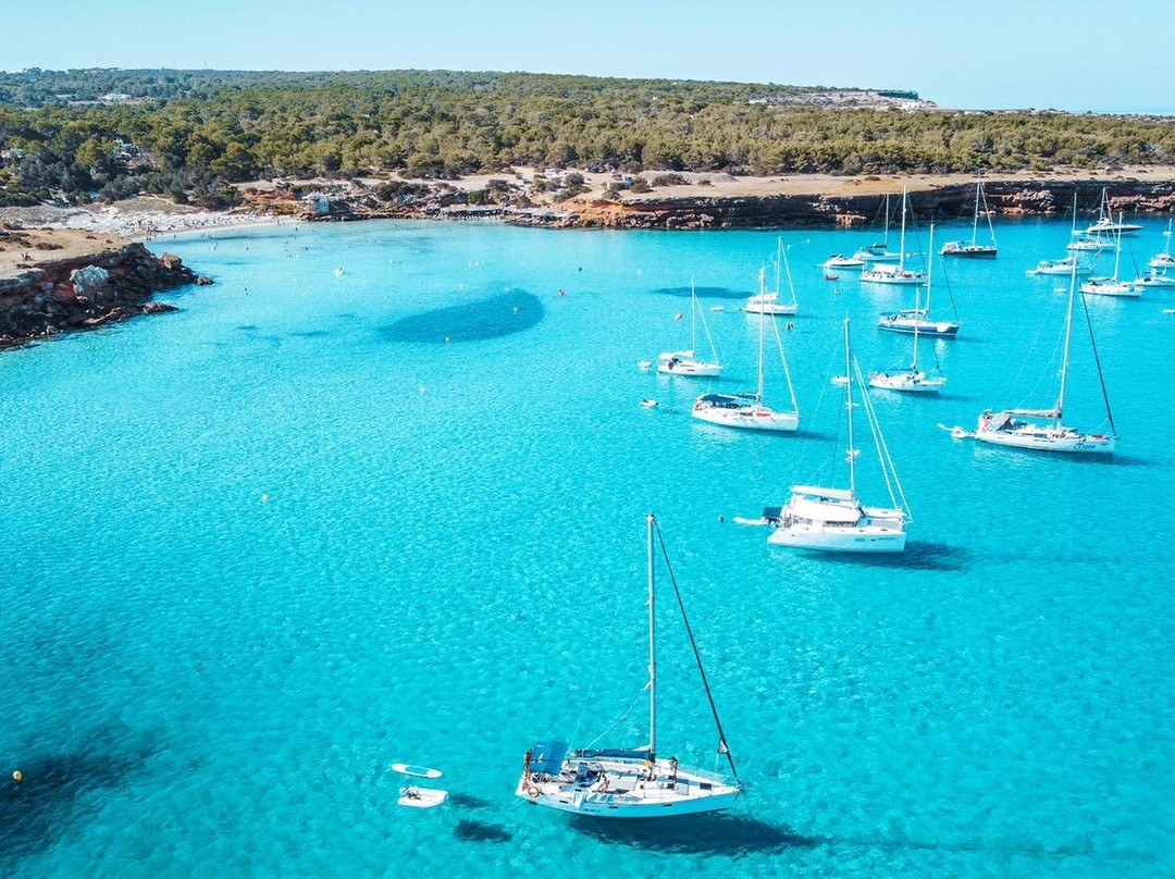 Flamingo Boat Charter ibiza景点图片