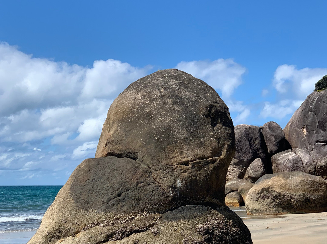 Mission Beach Adventures景点图片