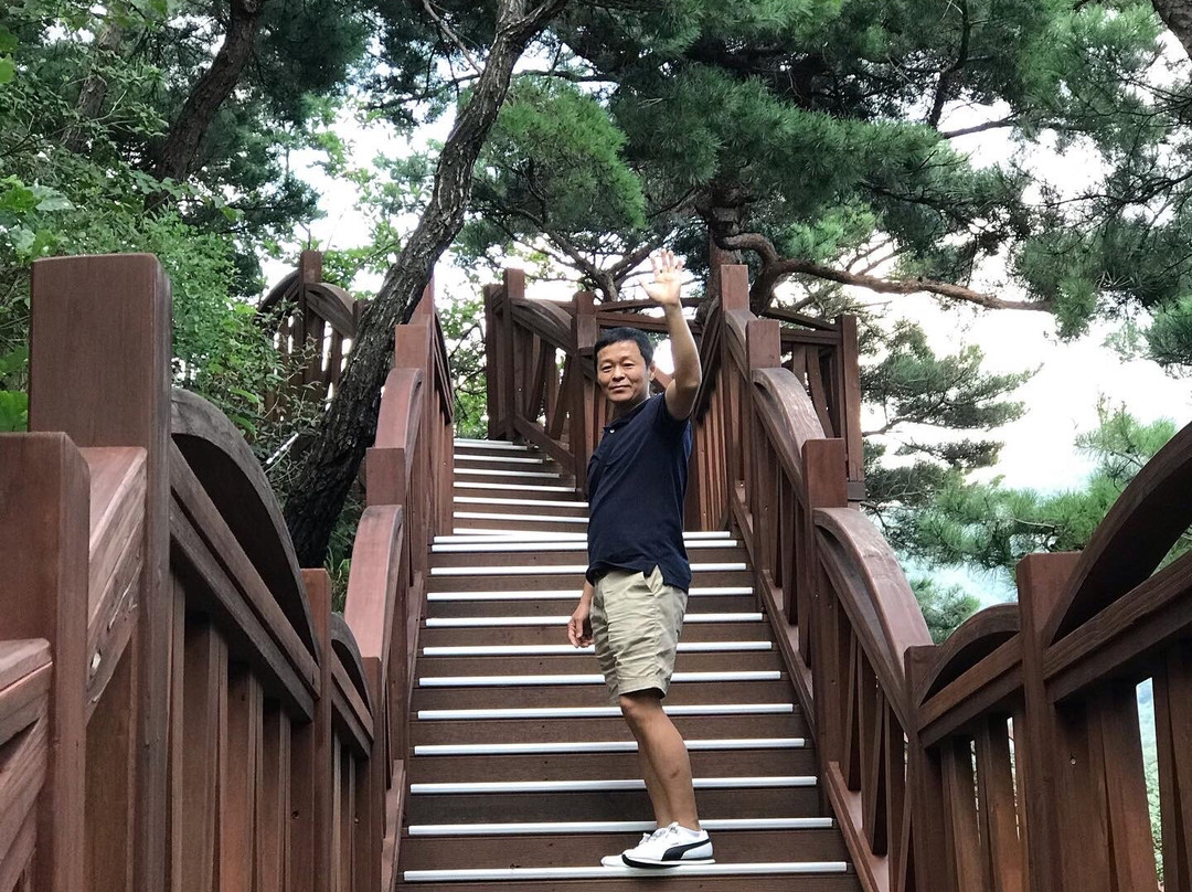 曾坪郡旅游攻略图片