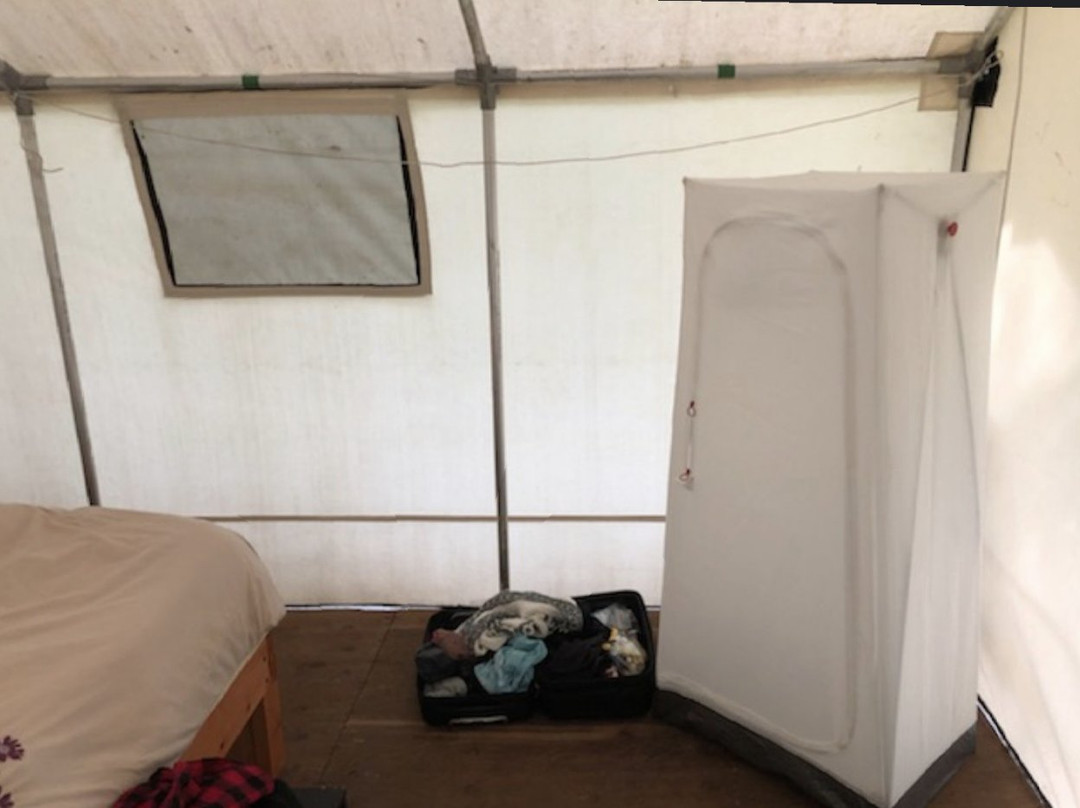 C.K. Maggs Adventures-伊劳拉必去景点