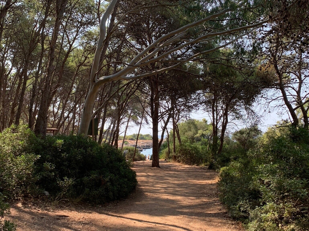 Parco Naturale Regionale di Porto Selvaggio-纳尔德奥必去景点