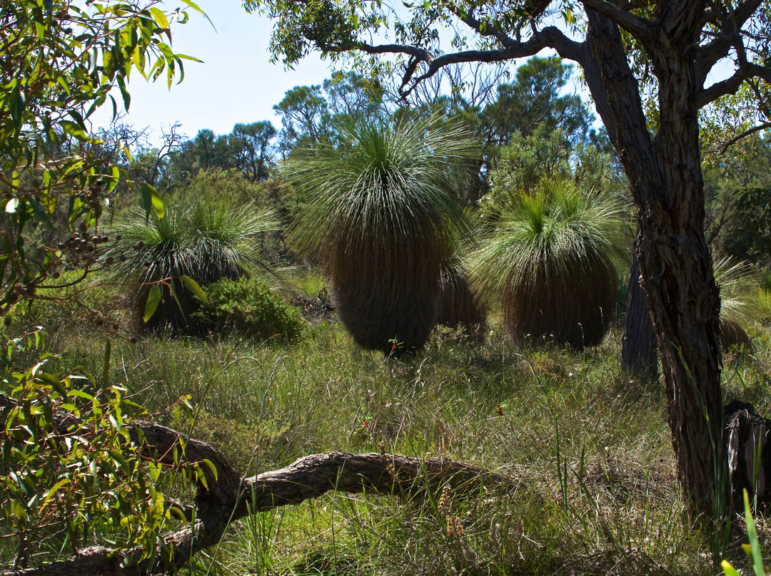 Wireless Hill Park-Ardross必去景点