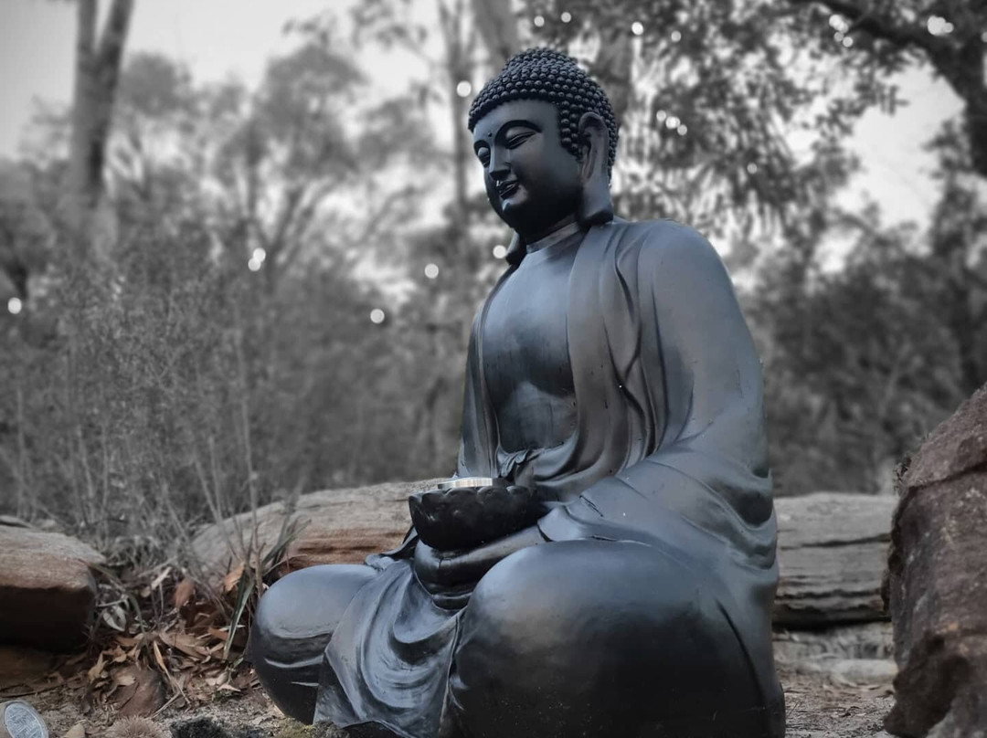 Swami's Yoga Retreat主图