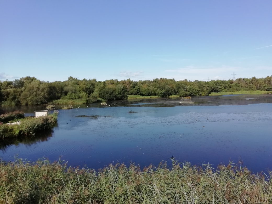 Blackleach Country Park景点图片
