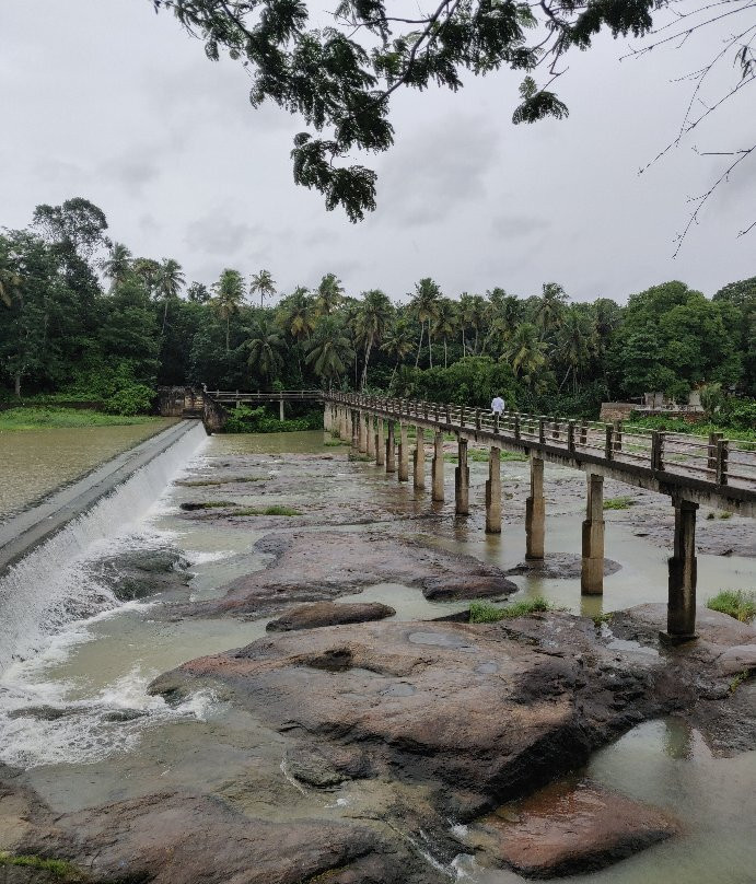 Thirparappu Waterfalls景点图片
