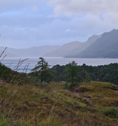 Shielbridge Caravan Park and Campsite主图