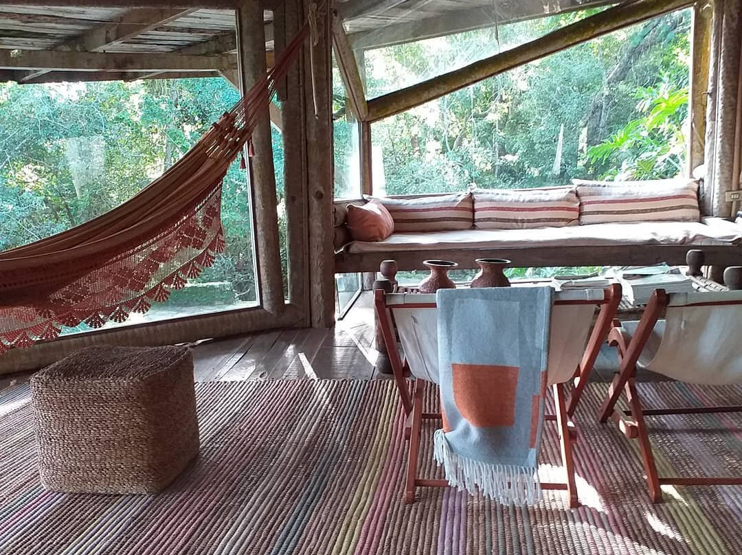 Paraqueira In Natura-Vicosa Do Ceara必去景点