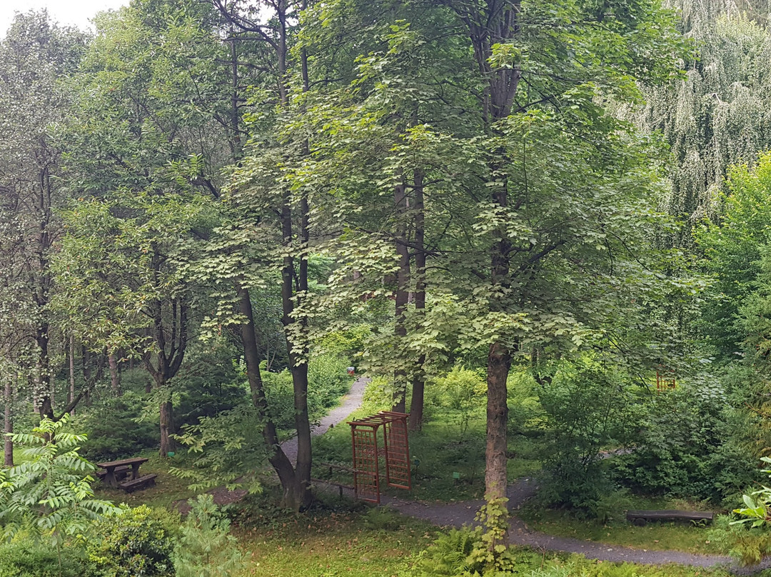 Arboretum w Ladku-Zdroju景点图片