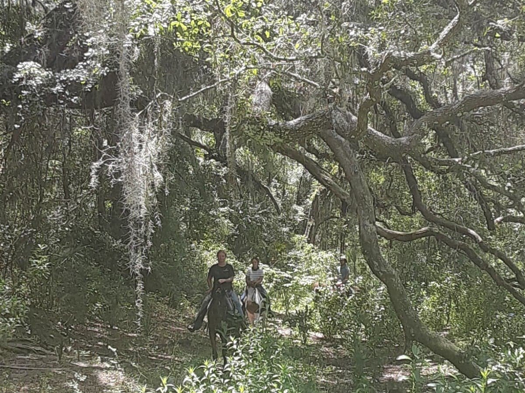 Skunkie Acres, Inc'-Citra必去景点