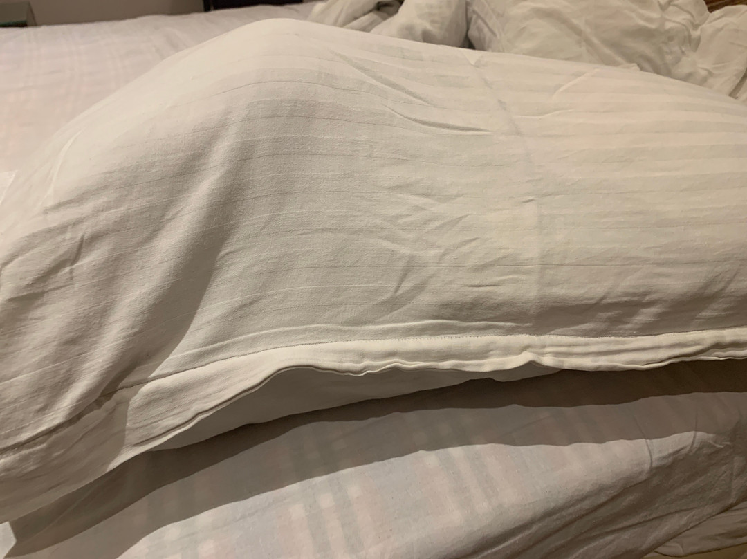 Hotel Chandigarh Beckons主图