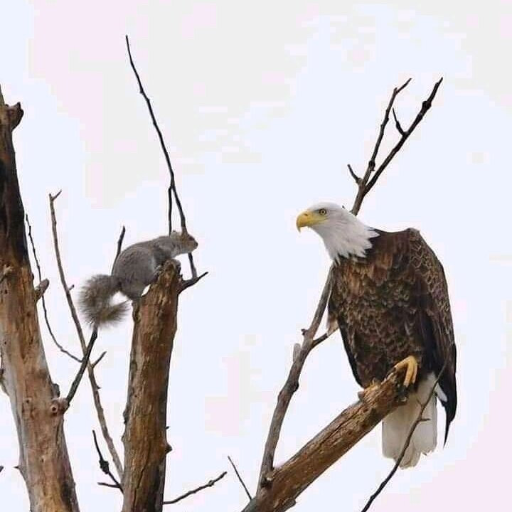 Tarangire National Park景点图片