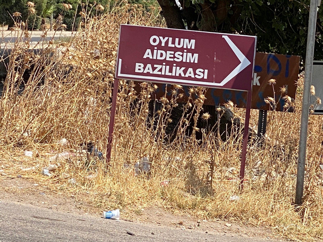 Oylum Hoyuk景点图片