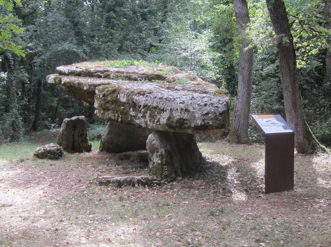 Dolmen De La Pierre Pèse景点图片
