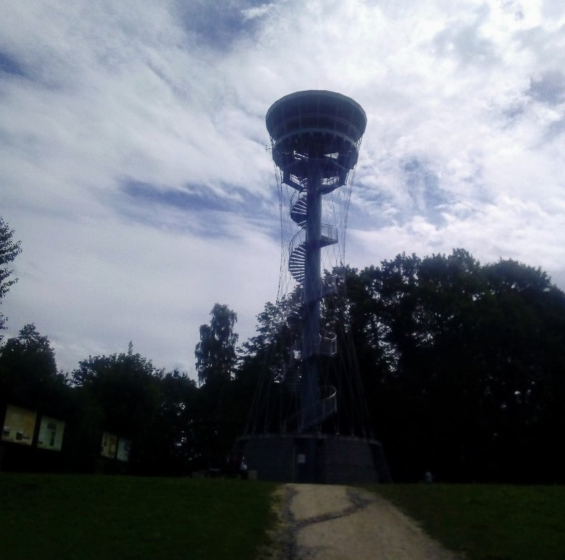 Tachov lookout tower - Vysoká景点图片