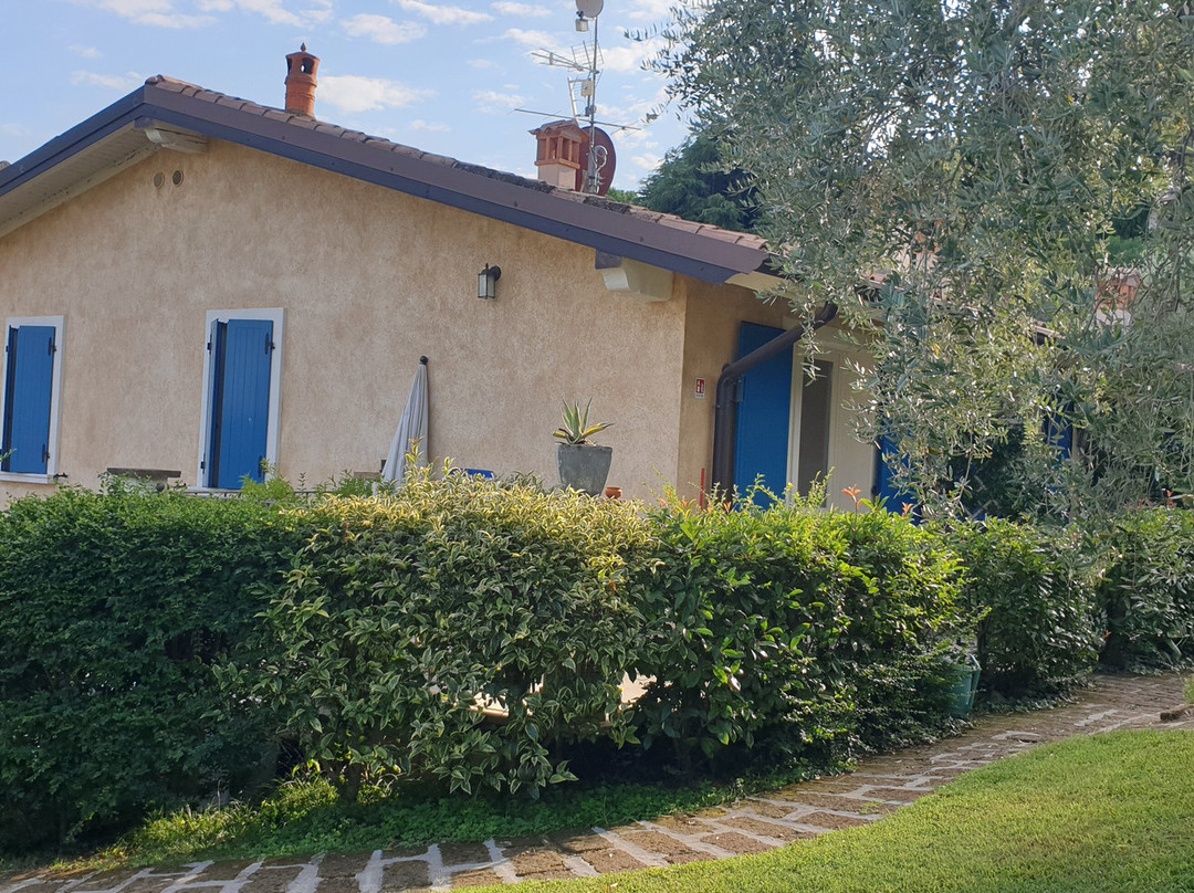 Agriturismo Il Cardo主图