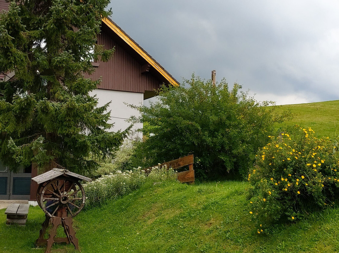 Hotel Draxlerhaus Hohentauern主图