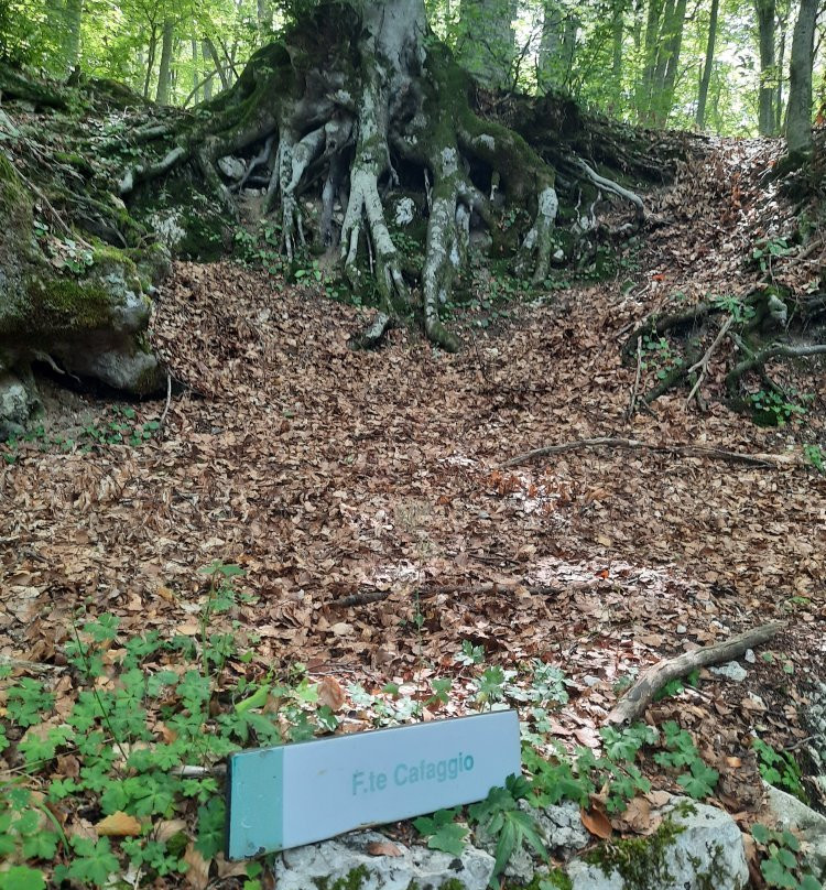 Riserva Naturale Lama Bianca-Roccacaramanico必去景点