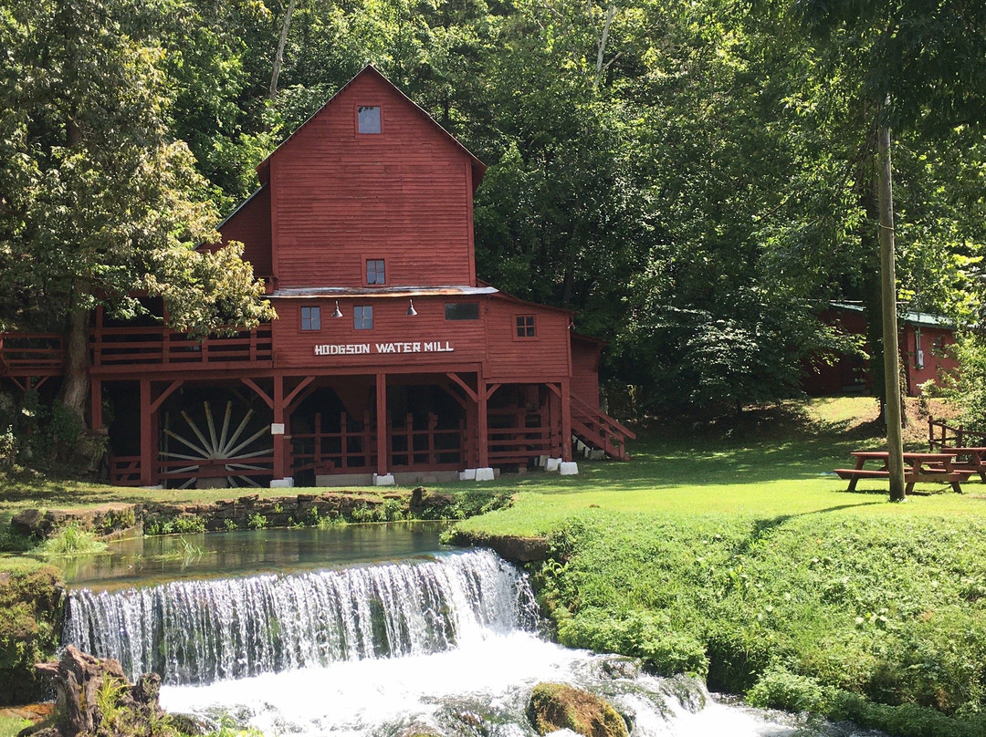 Tree House Cabins at River of Life Farm主图