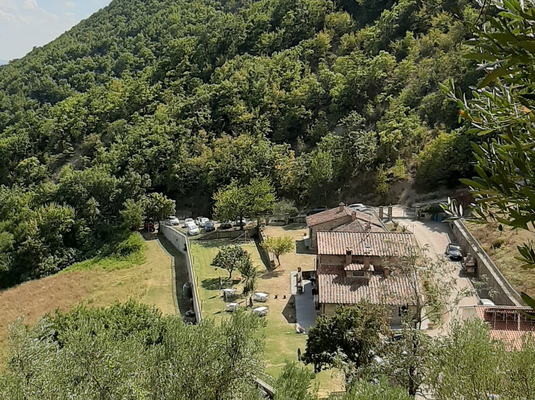 Il Castiglione Agriturismo Bio主图