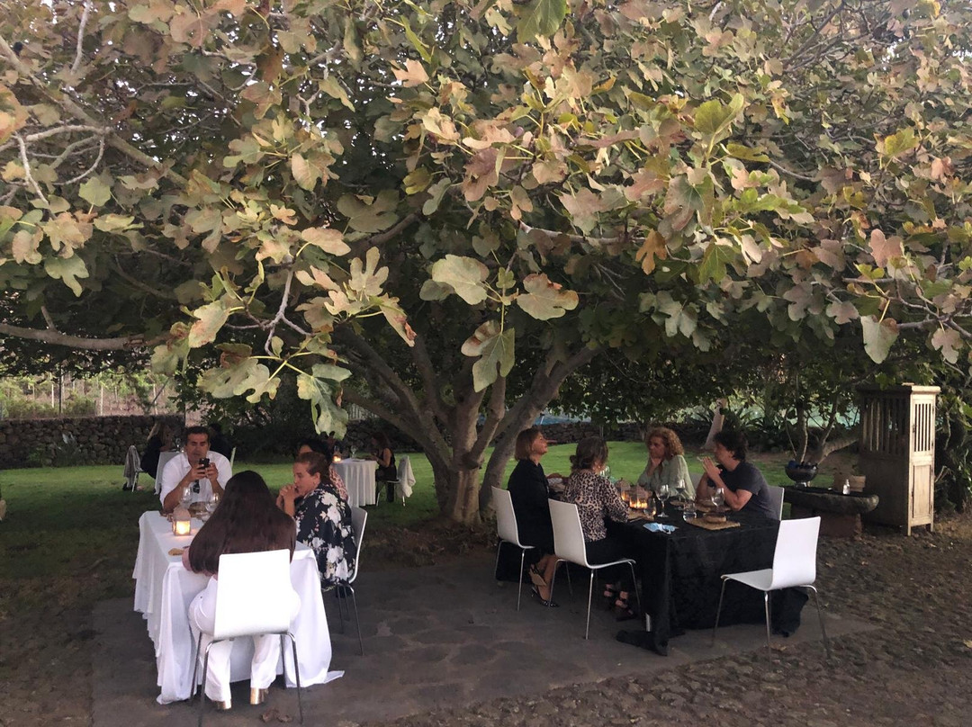 Senda Ecoway-圣克鲁斯-德特内里费必去景点