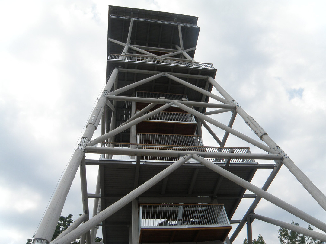 Observation tower in Wdzydze Kiszewskie景点图片