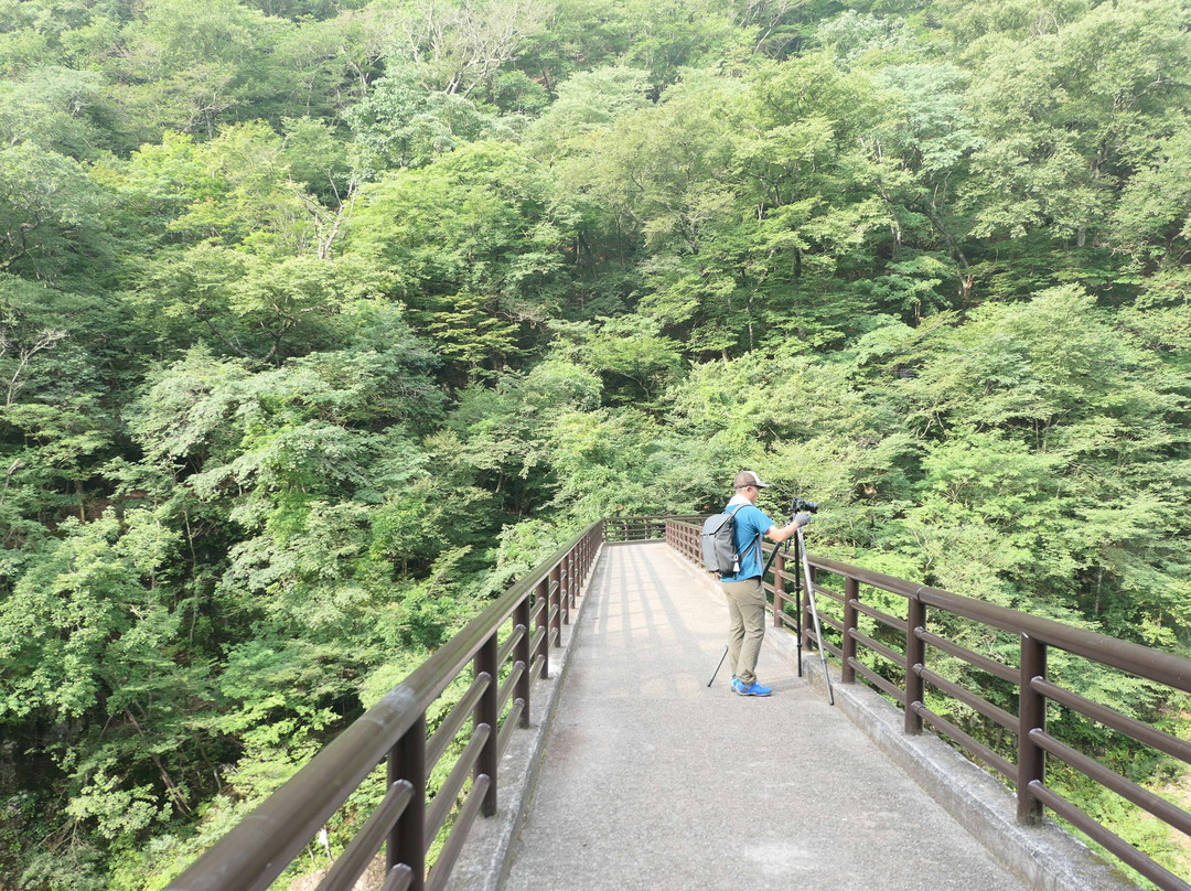 Nijimi Bridge-日光市必去景点