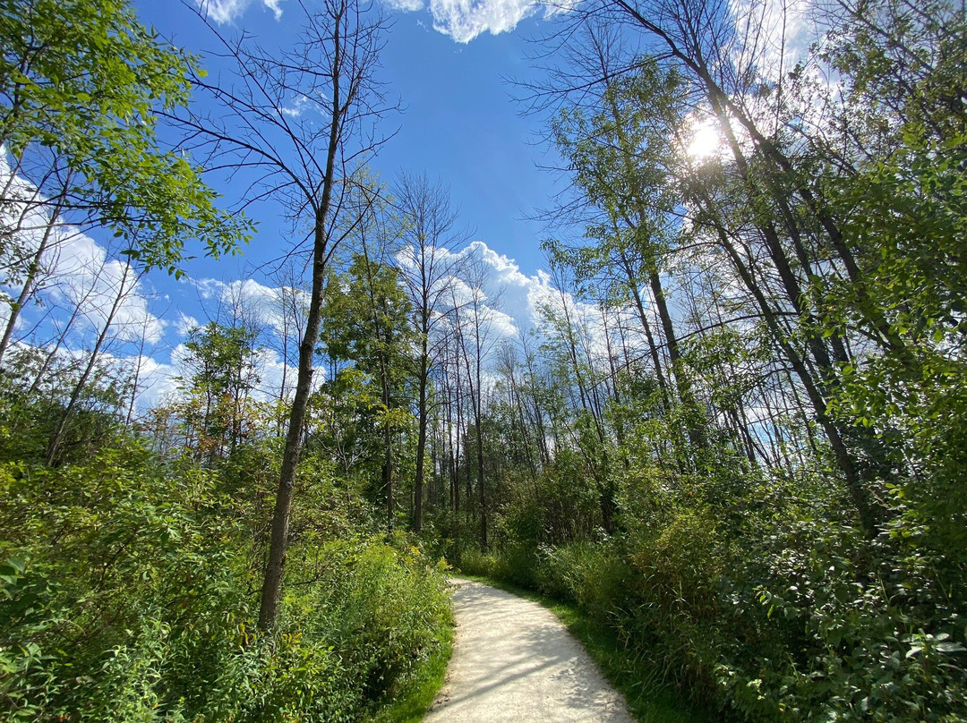 Lion's Den Gorge Nature Preserve景点图片