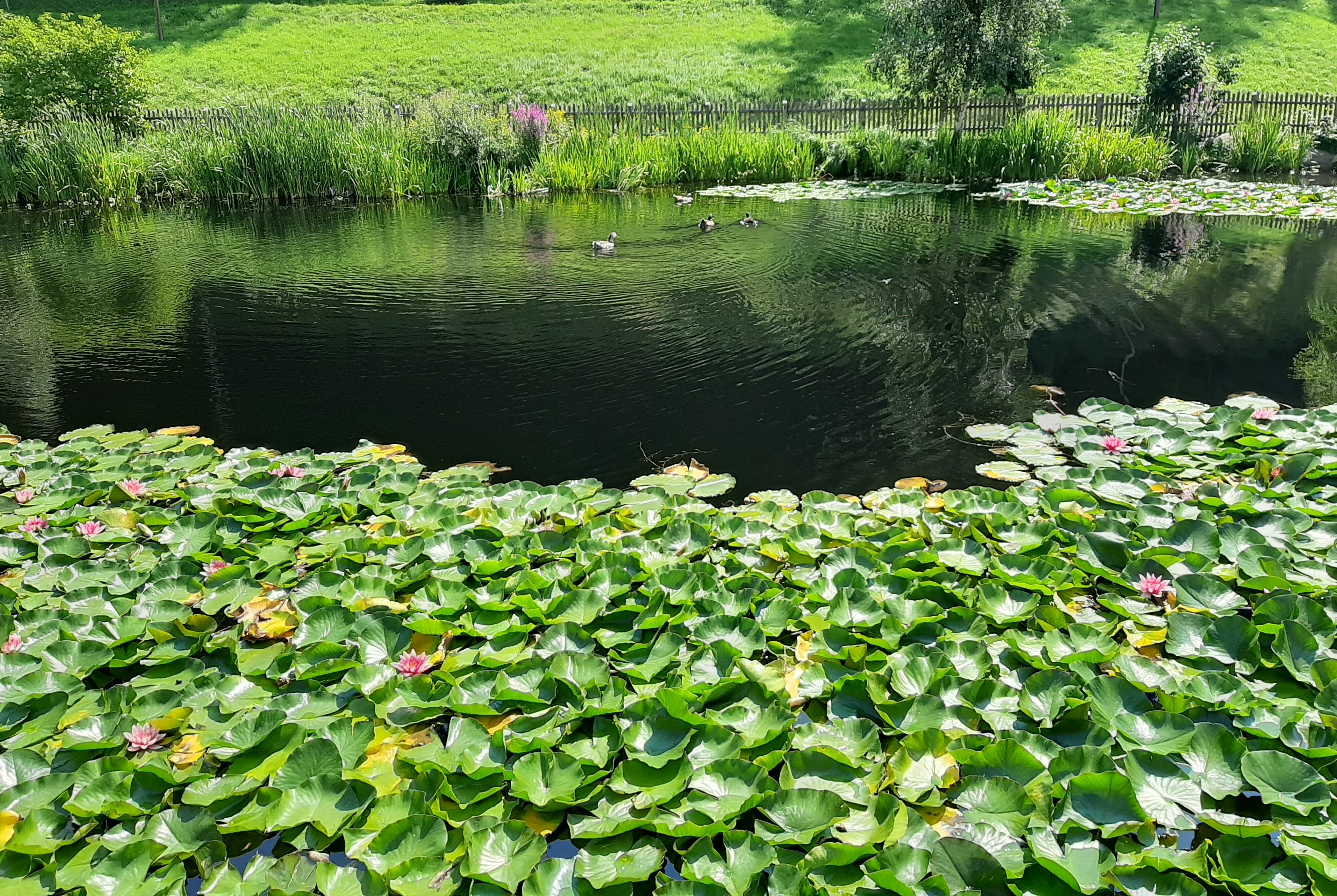 维塞赫夫绿色酒店-浴室