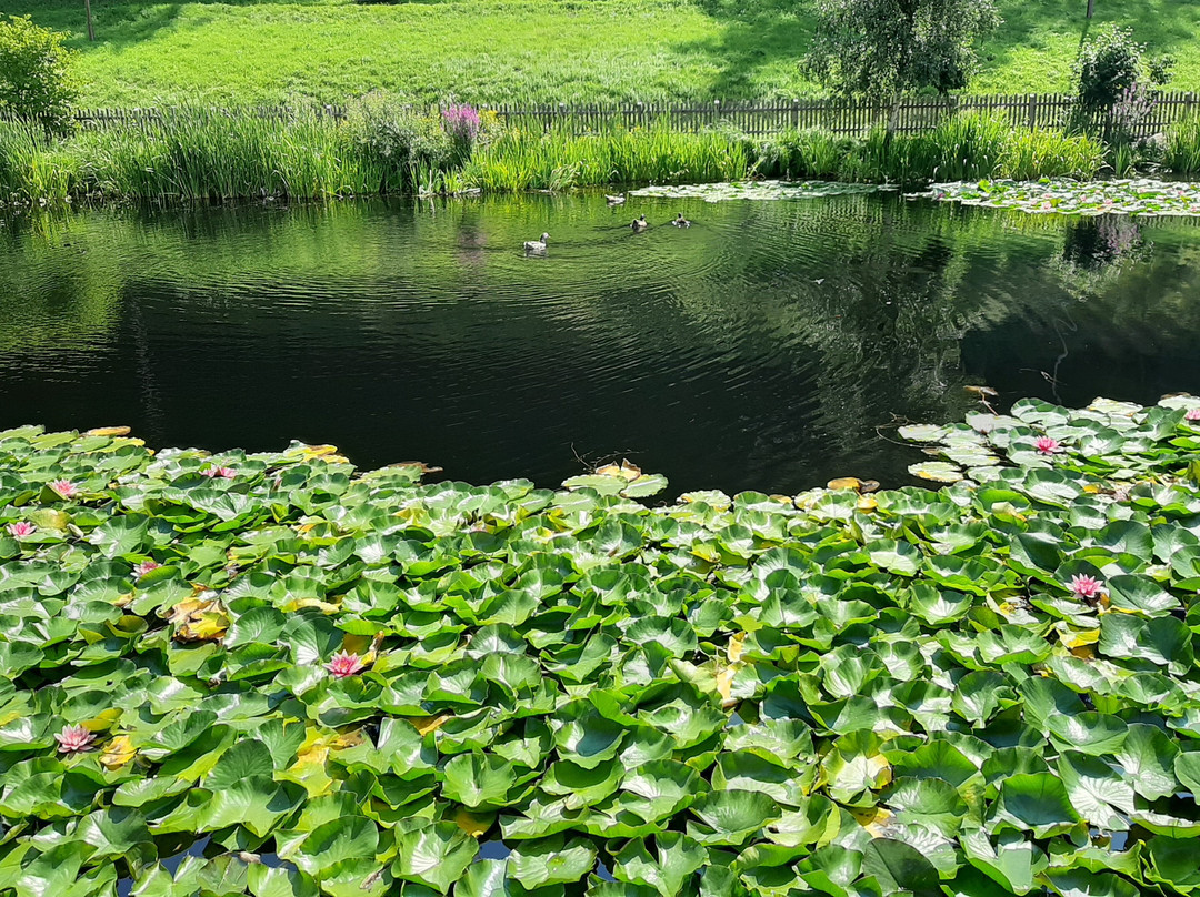 维塞赫夫绿色酒店主图