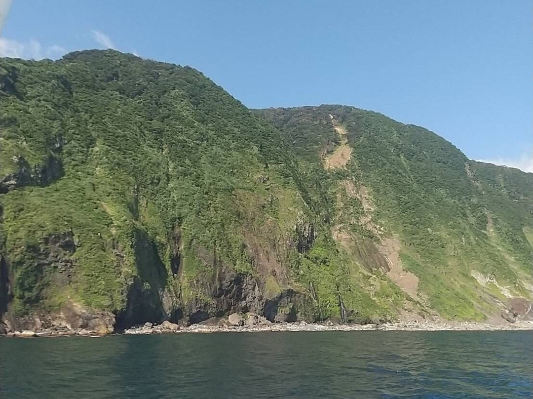 Dolphin Club Miyakejima