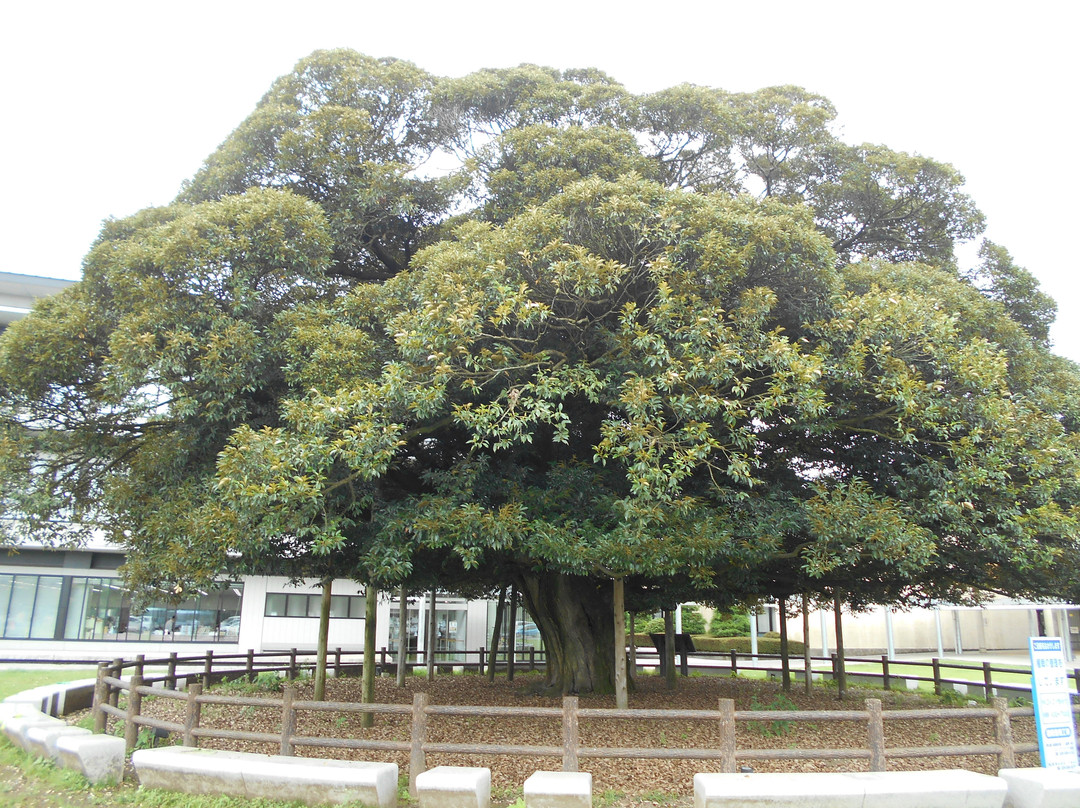 Sudagi Park景点图片