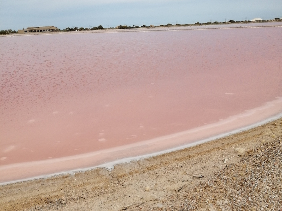 Salin de la Palme-La Palme必去景点