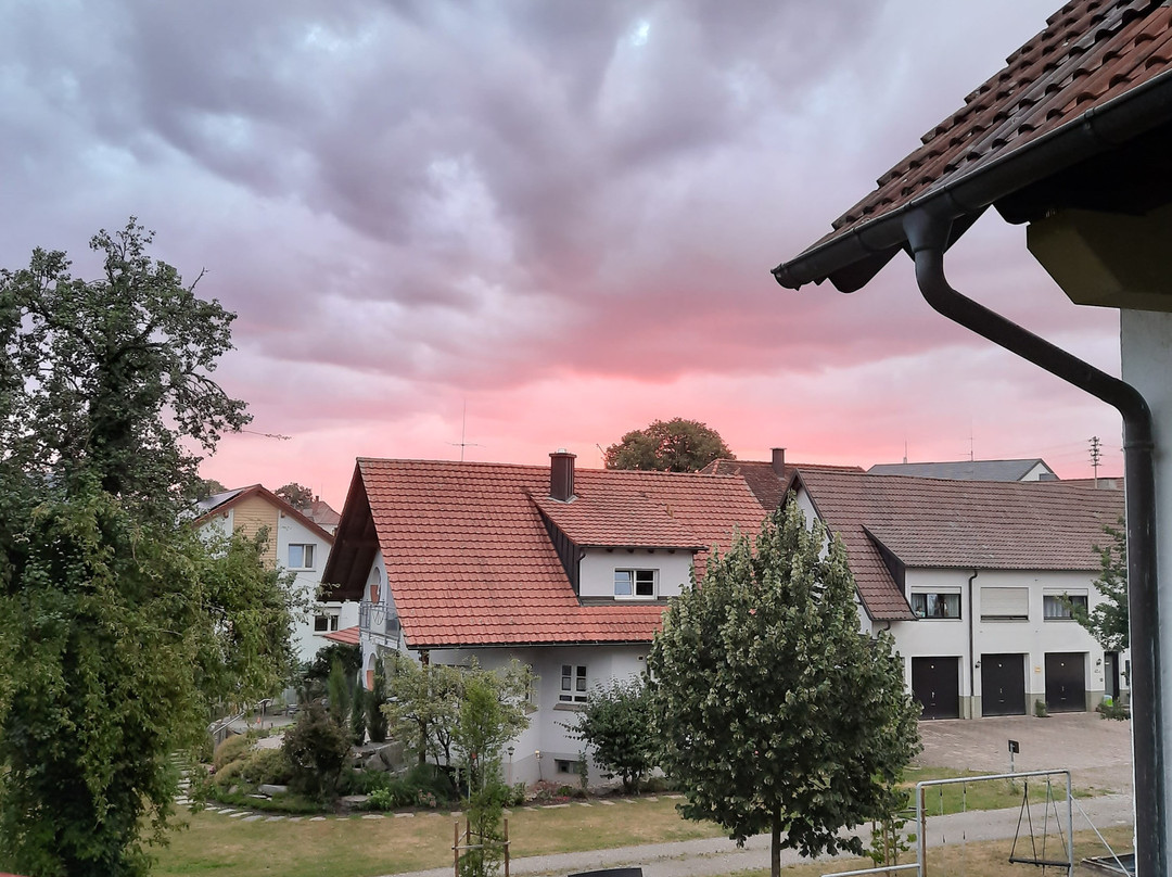 Hirschenstube Gastehaus Gehri主图