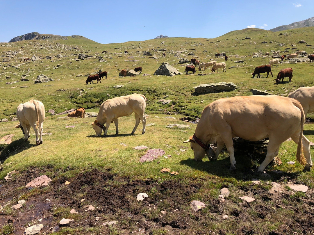 Ruta De Los Ibones景点图片